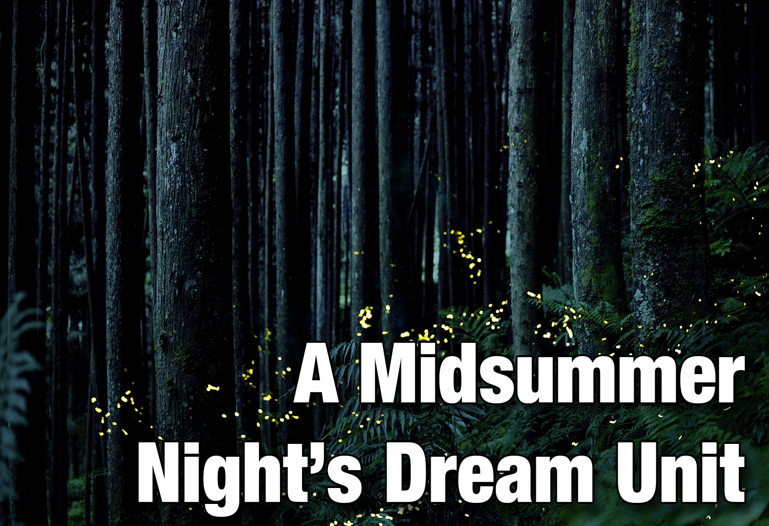 A Midsummer Night's Dream