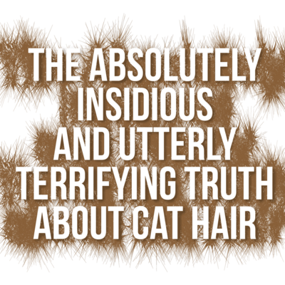The Absolutely Insidious and Utterly Terrifying Truth About Cat Hair