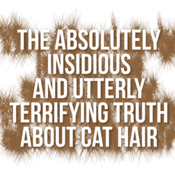 The Absolutely Insidious and Utterly Terrifying Truth About Cat Hair by Bradley Walton Play Script