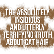 The Absolutely Insidious and Utterly Terrifying Truth About Cat Hair Bradley Walton Play Script