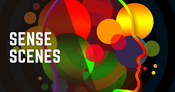 Sense Scenes