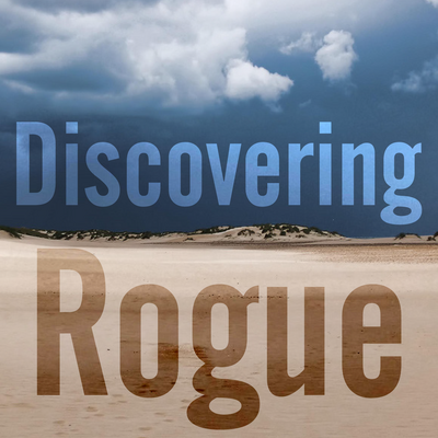 Discovering Rogue