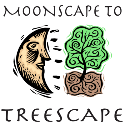 Moonscape to Treescape