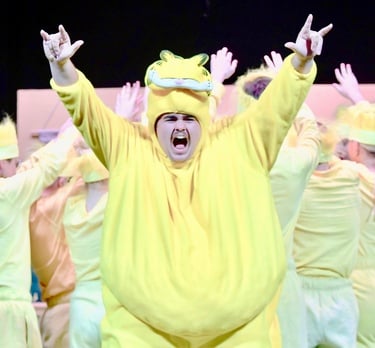 From the Park River Area School production (Park River, ND). Directed by Carter Hill.

Photo Credit: Larry Biri