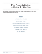 Analysis and Exercise: A Raisin in the Sun
