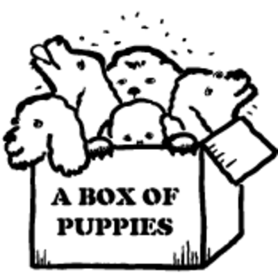 A Box of Puppies by Billy Houck play script cover