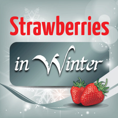 Strawberries in Winter